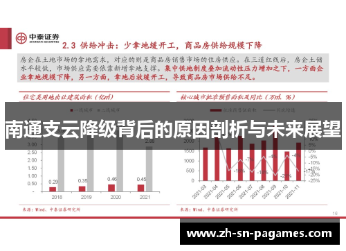 南通支云降级背后的原因剖析与未来展望