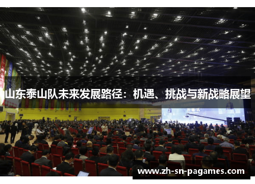 山东泰山队未来发展路径：机遇、挑战与新战略展望