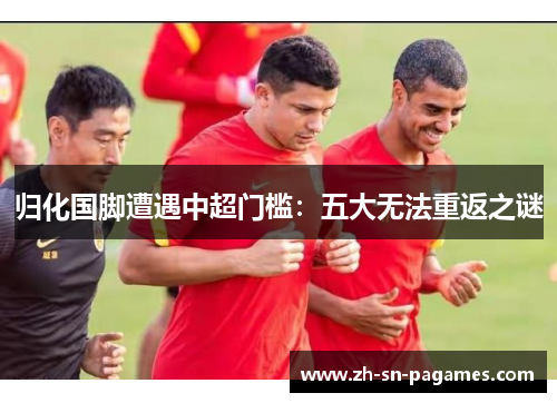 归化国脚遭遇中超门槛:五大无法重返之谜 归化国脚遭遇中超门槛:五大无法重返之谜