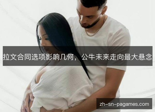 拉文合同选项影响几何，公牛未来走向最大悬念